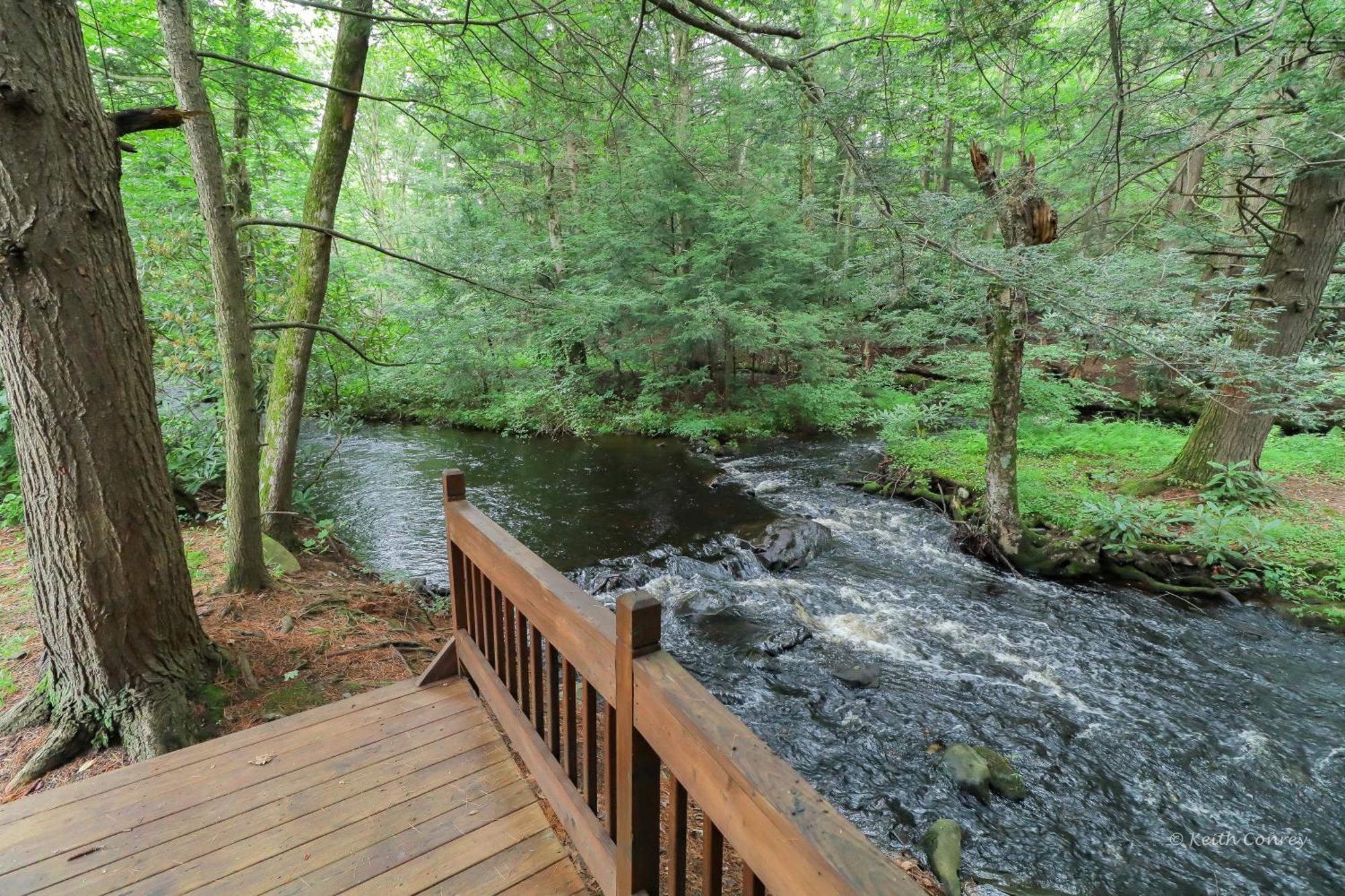 Magnolia Streamside Resort Canadensis Room photo